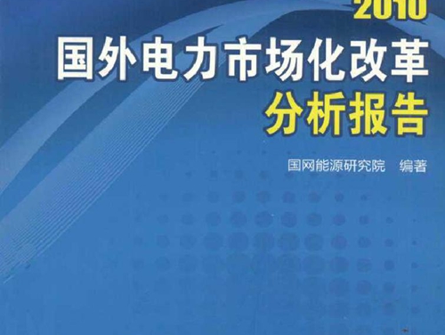 2010国外电力市场化改革分析报告