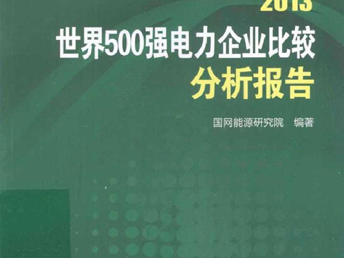 2013世界500强电力企业比较分析报告