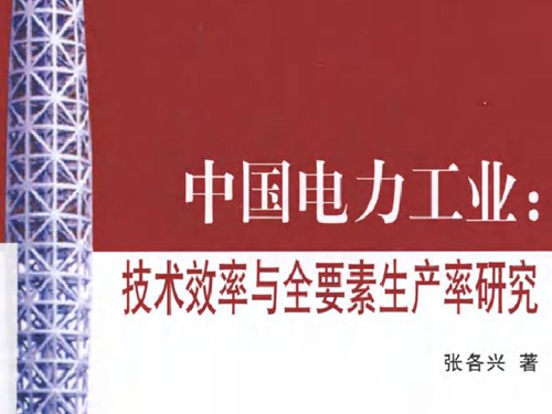 中国电力工业 技术效率与全要素生产率研究