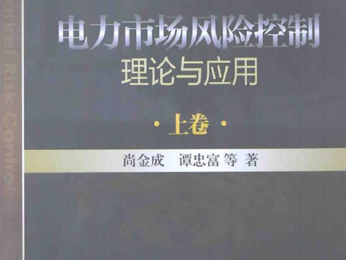 电力市场风险控制理论与应用 上卷