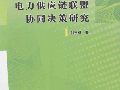 电力供应链联盟协同决策研究