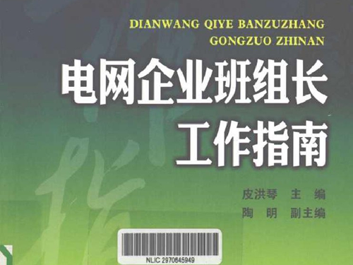 电网企业班组长工作指南