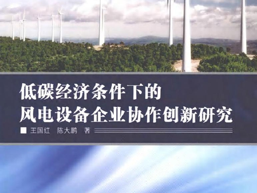 低碳经济条件下的风电设备企业协作创新研究