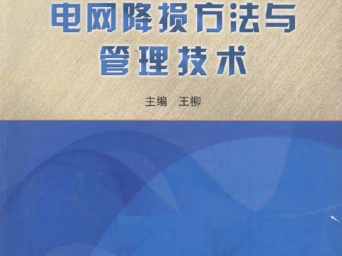 电网降损方法与管理技术