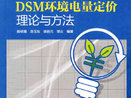 DSM环境电量定价理论与方法