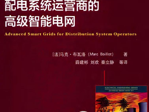 国际电气工程先进技术译丛 配电系统运营商的高级智能电网