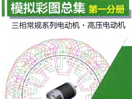 电机绕组端面模拟彩图总集 第一分册 三相常规系列电动机 高压电动机