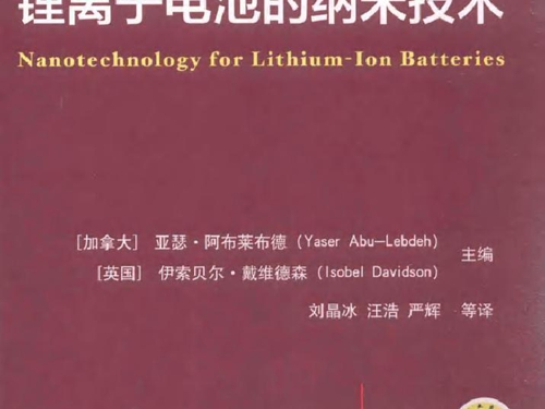 国际电气工程先进技术译丛 锂离子电池的纳米技术