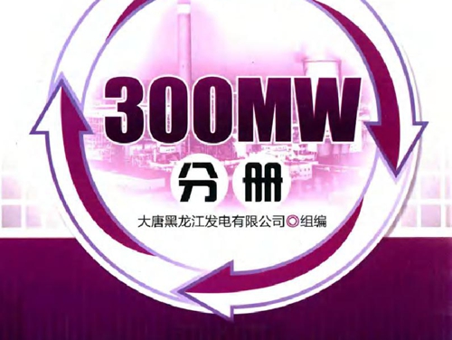 火电机组仿真培训指导教材 300MW分册