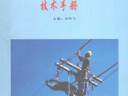 电力绝缘子选型 运行 检修及污闪 雷害事故防范处理技术手册 第2卷