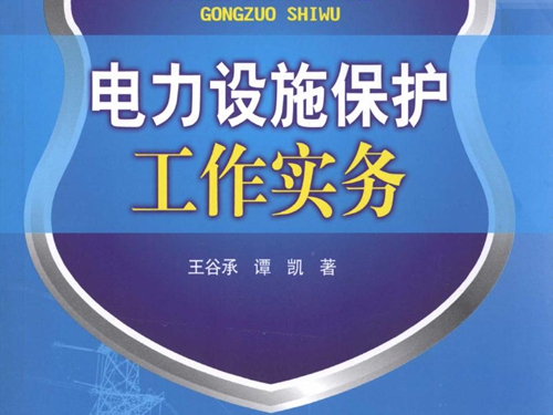 电力设施保护工作实务 (王谷承 谭凯著)