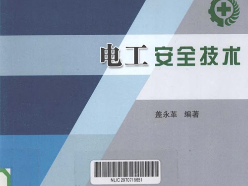 特种作业人员安全技术培训系列丛书 电工安全技术