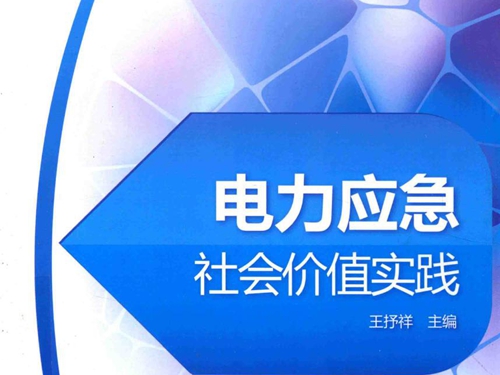 电力应急社会价值实践