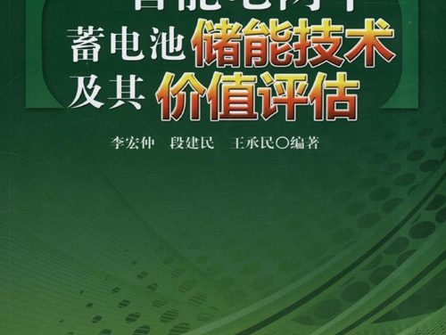 智能电网中蓄电池储能技术及其价值评估 高清可编辑文字版