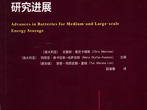 国际电气工程先进技术译丛 大中型储能电池的研究进展