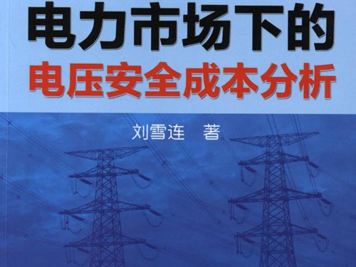 电力市场下的电压安全成本分析