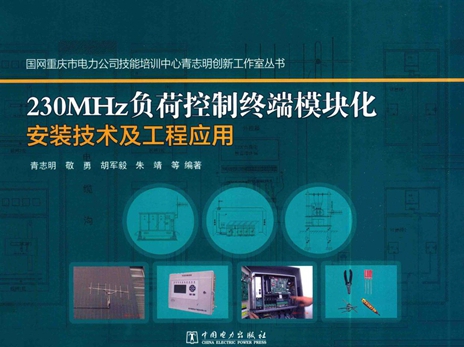 国网重庆市电力公司技能培训中心青志明创新工作室丛书 230MHz负荷控制终端模块化安装技术及工程应用 青志明 著 (2016版)