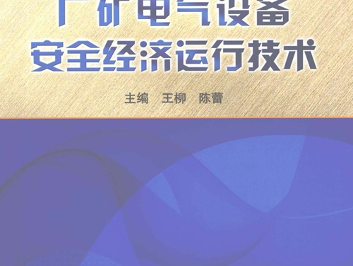 用电实用技术丛书 厂矿电气设备安全经济运行技术 王柳，陈蕾 (2011版)