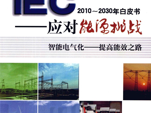 IEC 2010-(2030版)白皮书 应对能源挑战 (国际电工委员会(IEC）著) (2011版)