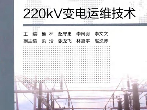 220kV变电运维技术 杨林等 (2018版)