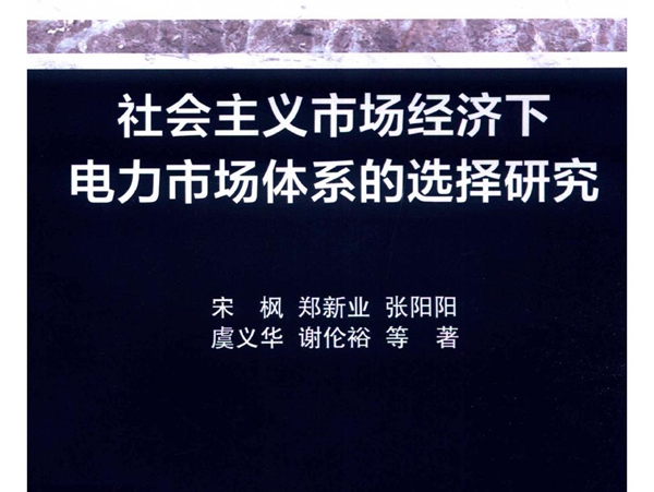 社会主义市场经济下电力市场体系的选择研究 宋枫等著 (2020版)