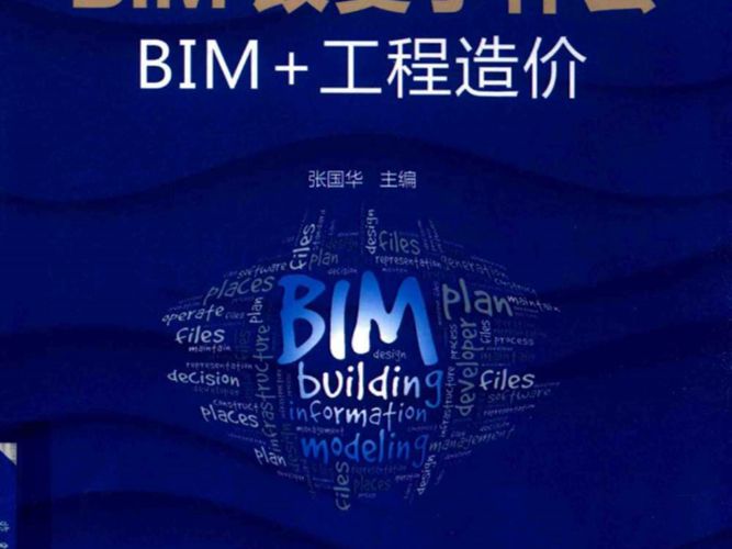 BIM改变了什么？BIM+工程造价 2019年版 张国华