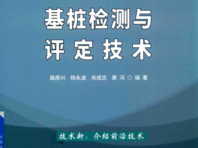 基桩检测与评定技术路彦兴 2020版