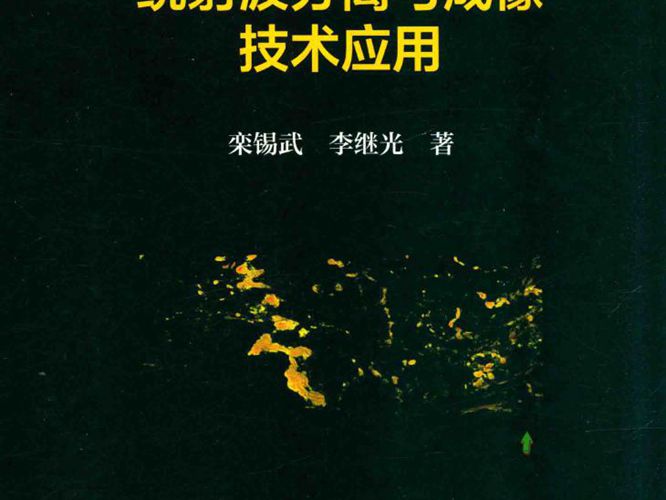 绕射波分离与成像技术应用栾锡武、李继光