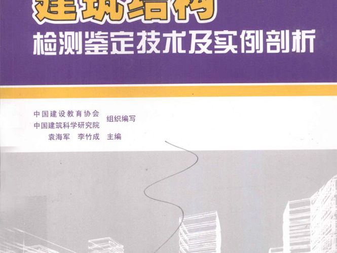 建筑结构检测鉴定技术及实例剖析袁海军  2012年