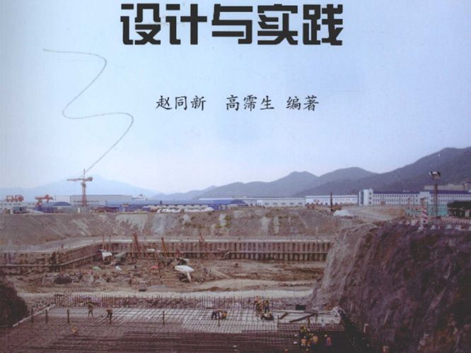 深基坑支护工程的设计与实践赵同新 高霈生  2010年版