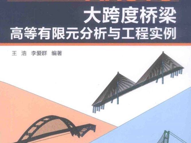 ANSYS大跨度桥梁高等有限元分析与工程实例王浩 李爱群   2014年版