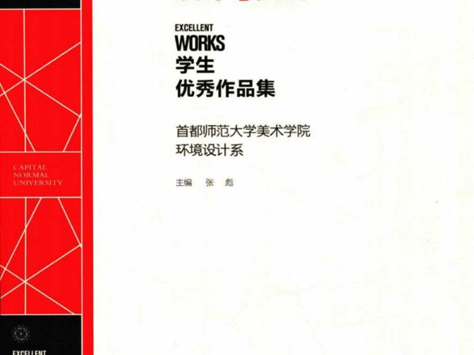 环境设计教育改革系列丛书 设计与实践  张彪  2017年版