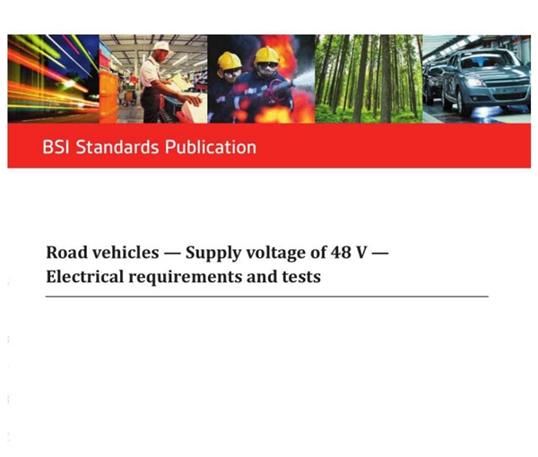 ISO BS 21780 2020 道路车辆 - 电源电压为48V - 电气要求和测试 - 完整英文版(53页)