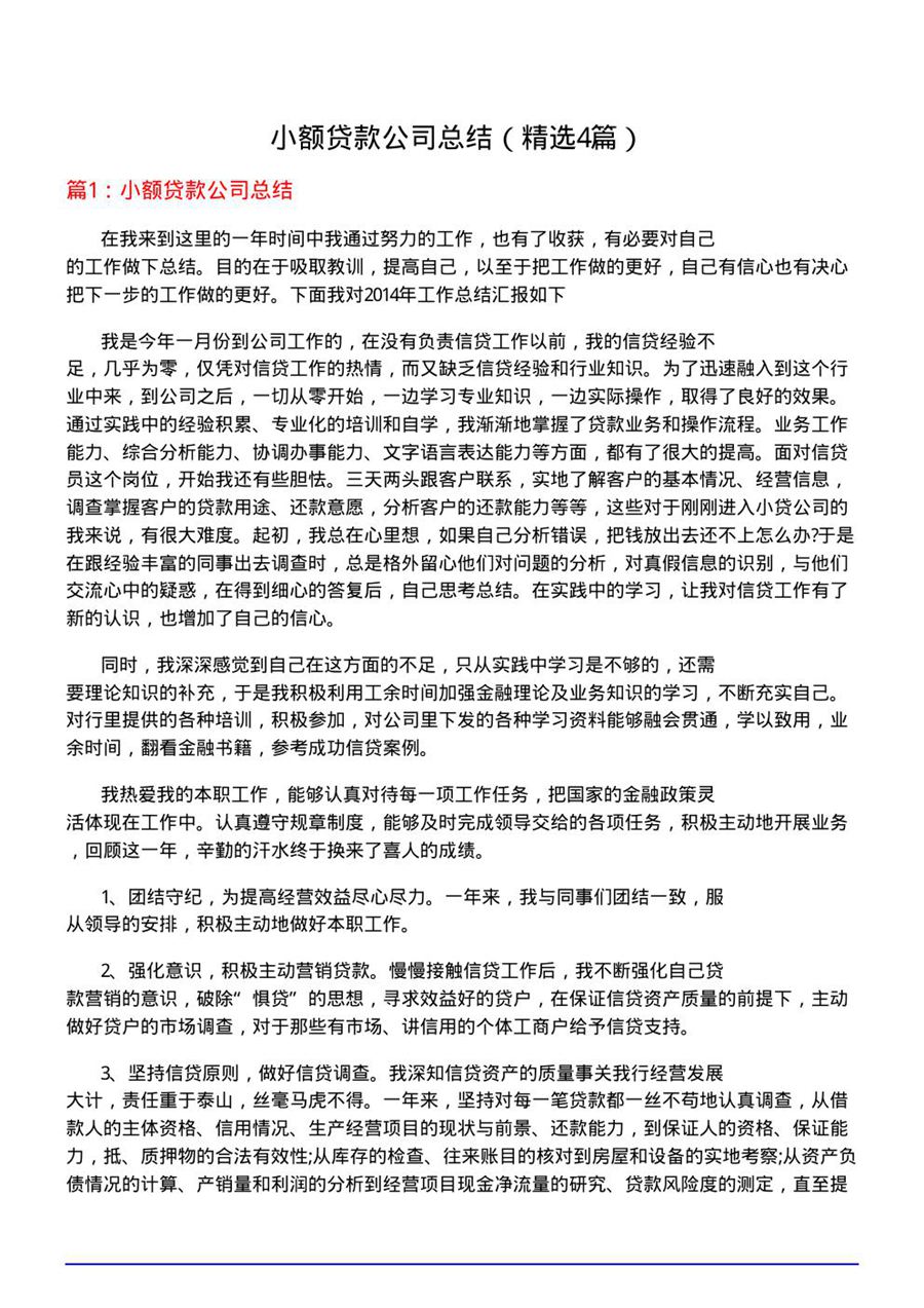 小额贷款公司总结