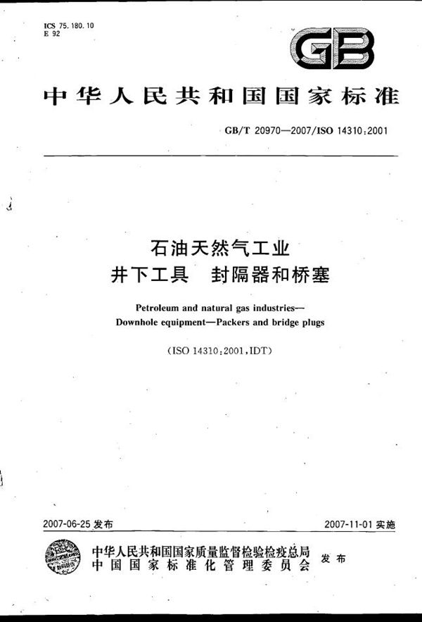 石油天然气工业  井下工具  封隔器和桥塞 (GB/T 20970-2007)