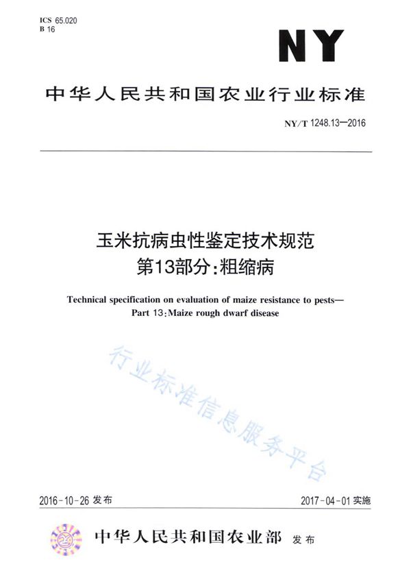 玉米抗病虫性鉴定技术规范 第13部分：粗缩病 (NY/T 1248.13-2016)