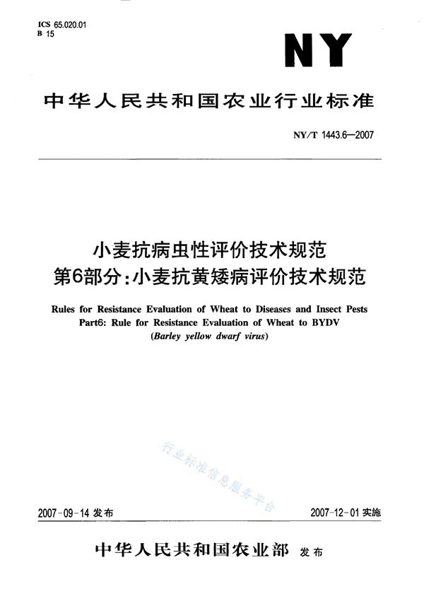 小麦抗病虫性评价技术规范 第6部分：小麦抗黄矮病评价技术规范 (NY/T 1443.6-2007)