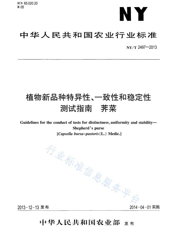 植物新品种特异性、一致性和稳定性测试指南 荠菜 (NY/T 2497-2013)