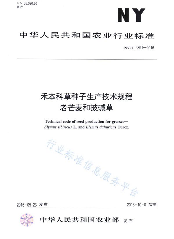 禾本科草种子生产技术规程 多花黑麦草 (NY/T 2892-2016)