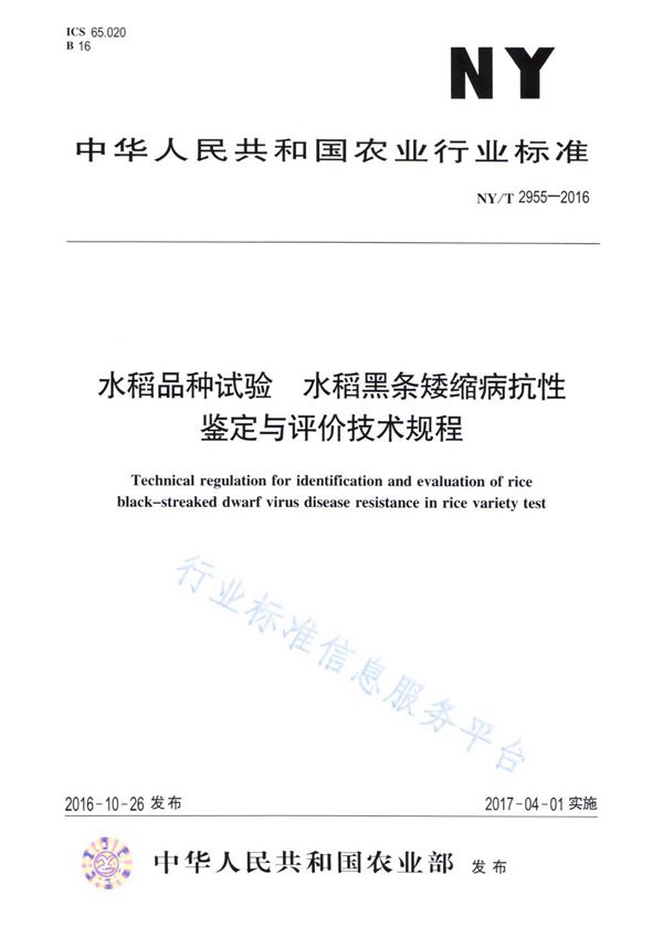 水稻品种试验水稻黑条矮缩病抗性鉴定与评价技术规程 (NY/T 2955-2016)