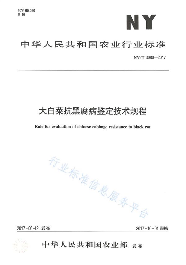 大白菜抗黑腐病鉴定技术规程 (NY/T 3080-2017)