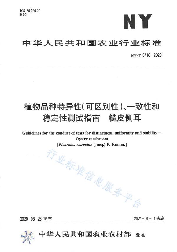 植物品种特异性（可区别性）、一致性和稳定性测试指南糙皮侧耳 (NY/T 3718-2020)