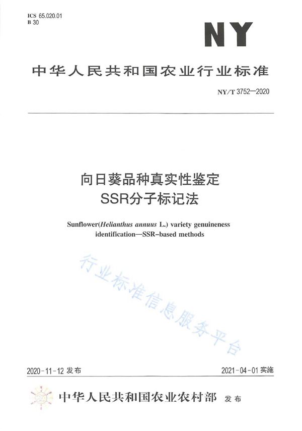 向日葵品种真实性鉴定 SSR分子标记法 (NY/T 3752-2020)