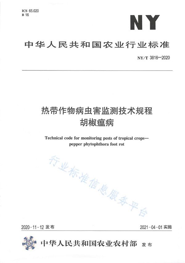 热带作物病虫害监测技术规程 胡椒瘟病 (NY/T 3816-2020)