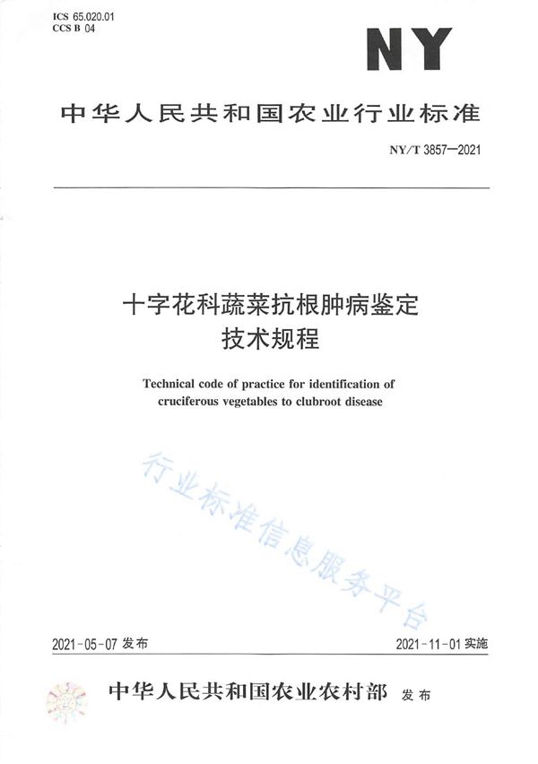 十字花科蔬菜抗根肿病鉴定技术规程 (NY/T 3857-2021）