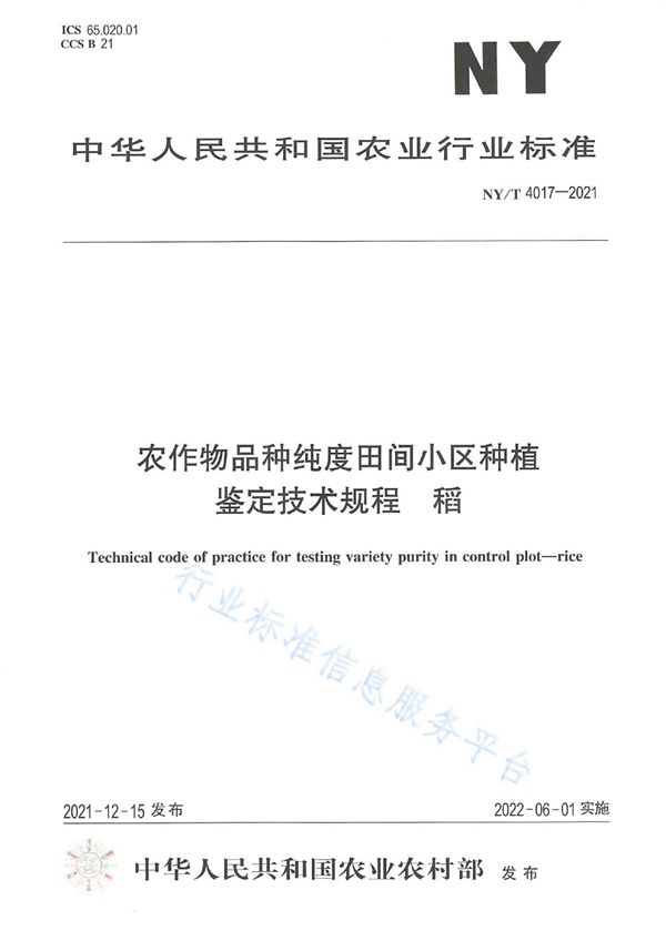 农作物品种纯度田间小区种植鉴定技术规程 稻 (NY/T 4017-2021)