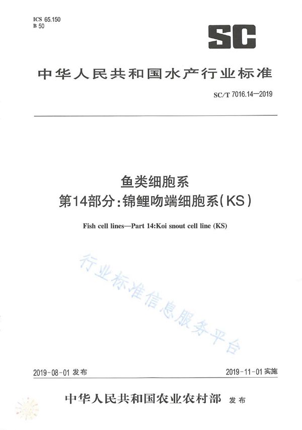 鱼类细胞系 第14部分：锦鲤吻端细胞系（KS） (SC/T 7016.14-2019)