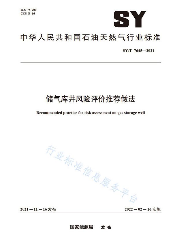 储气库井风险评价推荐做法 (SY/T 7645-2021)