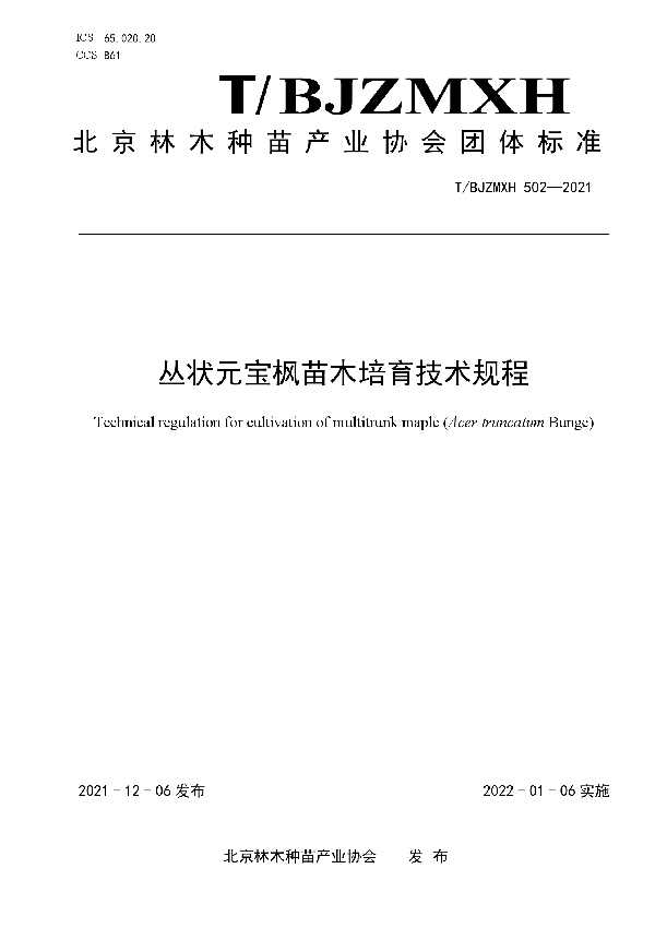 丛状元宝枫苗木培育技术规程 (T/BJZMXH 502-2021）