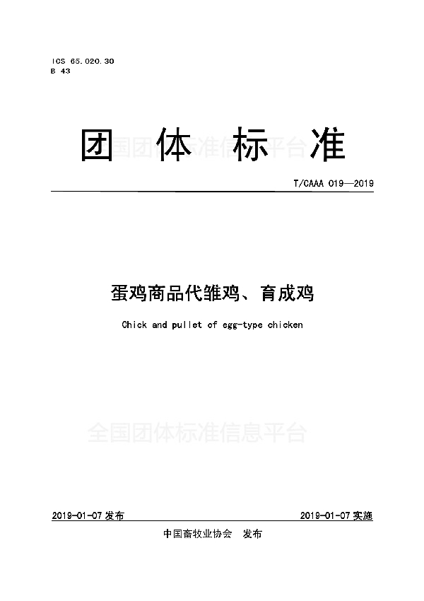 蛋鸡商品代雏鸡、育成鸡 (T/CAAA 019-2019)